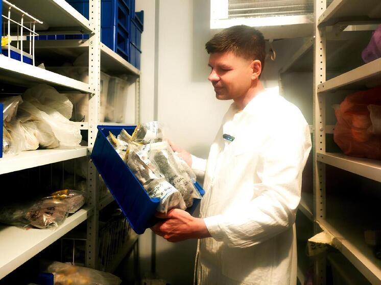 Живы спустя 40 тысяч лет: пущинские ученые изучают древних червей из Арктики