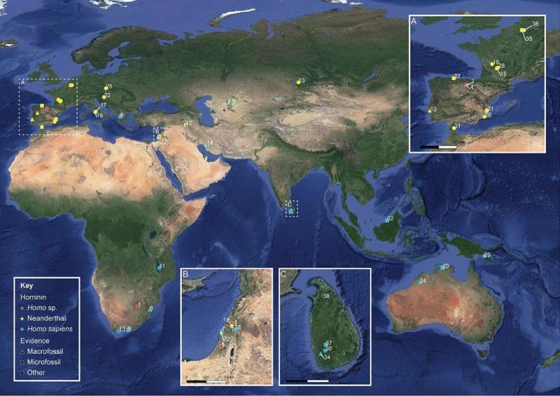 Археологические исследования ставят под сомнение палео-диету, доказывая, что люди ели
