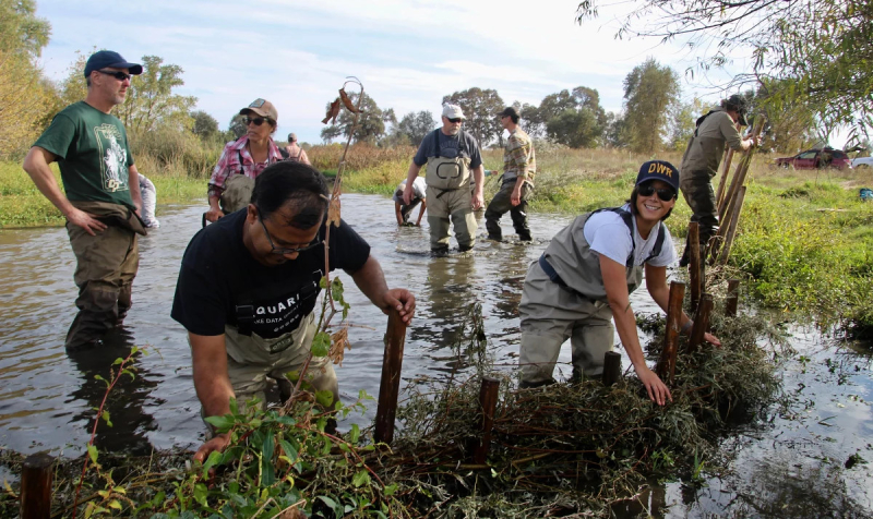 Бобровые плотины оказались идеальным инструментом для контроля за климатом северных регионов
