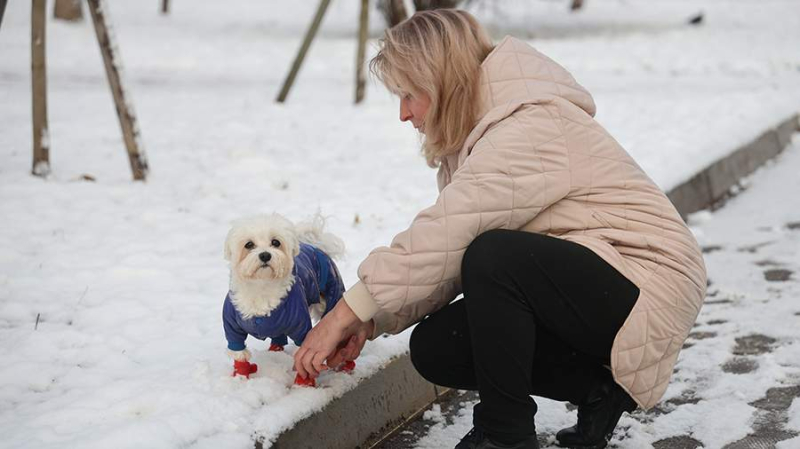 Исследователи объяснили существование сознания у людей и животных