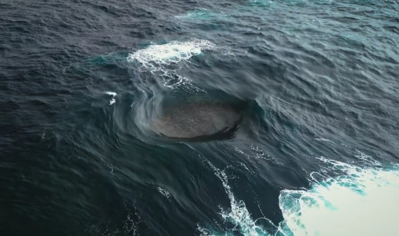 &laquo;Невозможную волну&raquo; запечатлели на видео у побережья Австралии