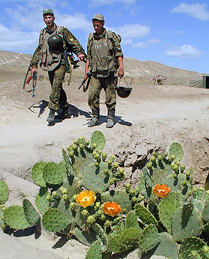 Уходить ли РЅР° север