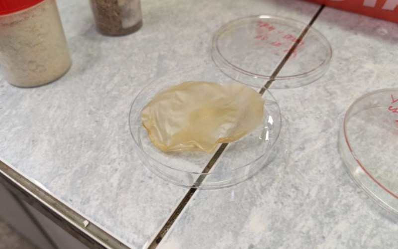 В Новосибирске придумали, как делать электроизоляцию из травы