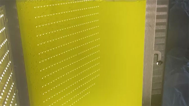 В России предложили делать детские смеси из микроводорослей