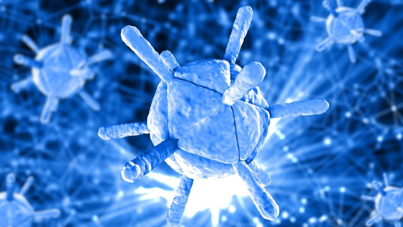 В самых чистых помещениях НАСА вопреки дезинфекции развиваются новые формы бактериальной жизни