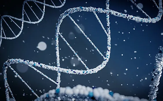 Как ученые изучают ДНК древних ископаемых?