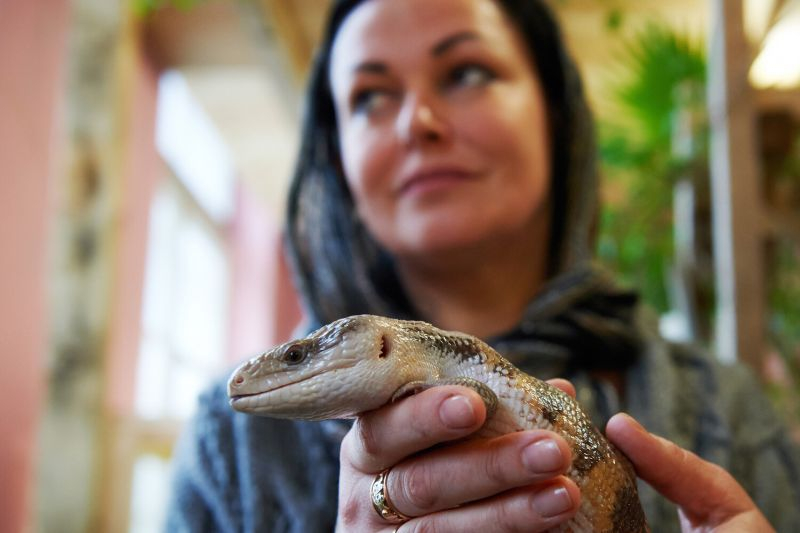 Мозг ящериц, птиц и людей отдыхает по древнему &laquo;правилу&raquo;, выяснили ученые