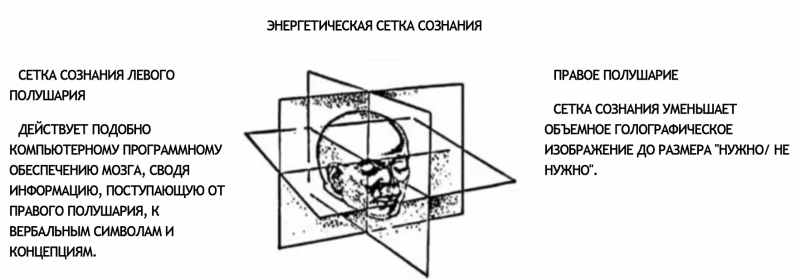 Тот, кто сделал первый чип, заявил: &laquo;Сознание не в голове&raquo;