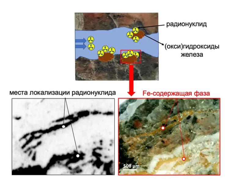 Угрожает ли коррозия утечкой радиоактивных отходов: ответ российских ученых