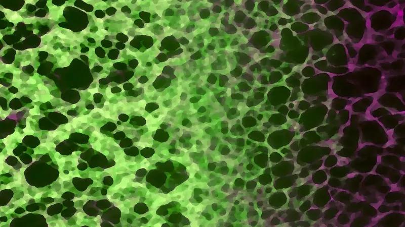 Ученые визуализировали стареющие клетки в живых организмах