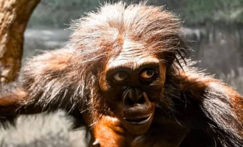 Загадочная окаменелость стопы может переписать генеалогическое древо человечества