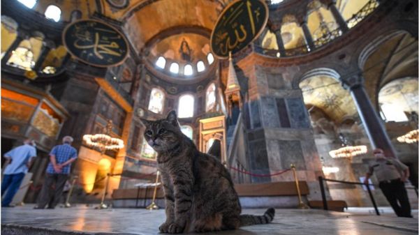 Айя-София: Турция и ЮНЕСКО обменялись жесткими заявлениями в годовщину превращения всемирно известного музея в мечеть