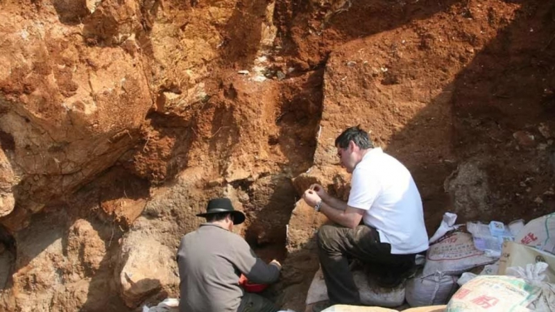 Антропологи выяснили, как предки людей готовили пищу без огня