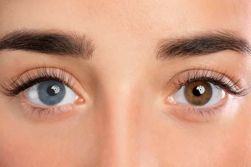 Движения глаз помогают вспоминать информацию, выяснили ученые