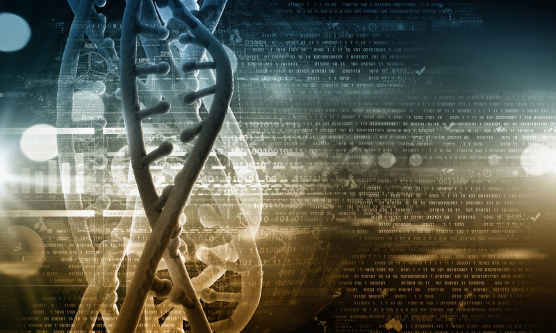 Китайские ученые успешно сохранили в ДНК изображения настенных рисунков из древних пещер