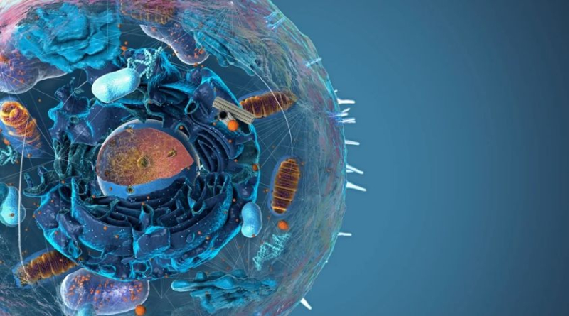 Когда возникла сложная жизнь: новые данные опровергают прежние версии