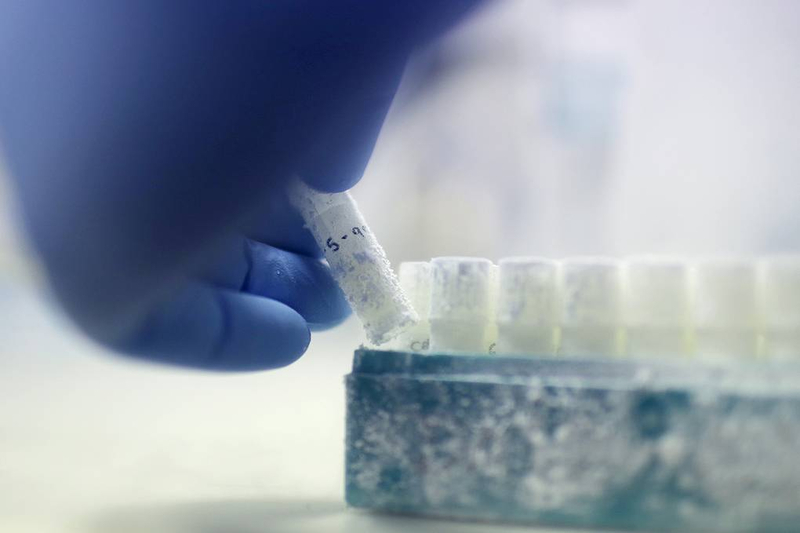 Мужская фертильность снижается во всем мире. Что случилось и как с этим быть?