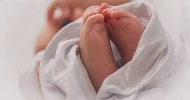 Невидимая гонка за сверхчеловеком: технологические гиганты тайно редактируют ДНК эмбрионов, нарушая мировой запрет