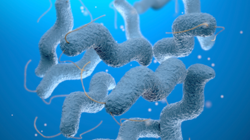 Незаметный для иммунной системы человека вид бактерий нашли в Тихом океане