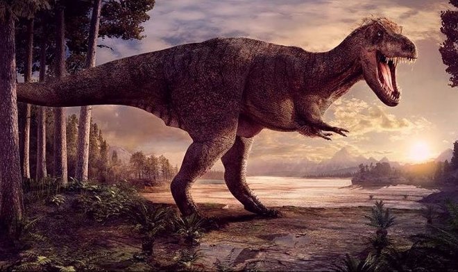 Новорожденные тираннозавры появлялись на свет размером с собаку 