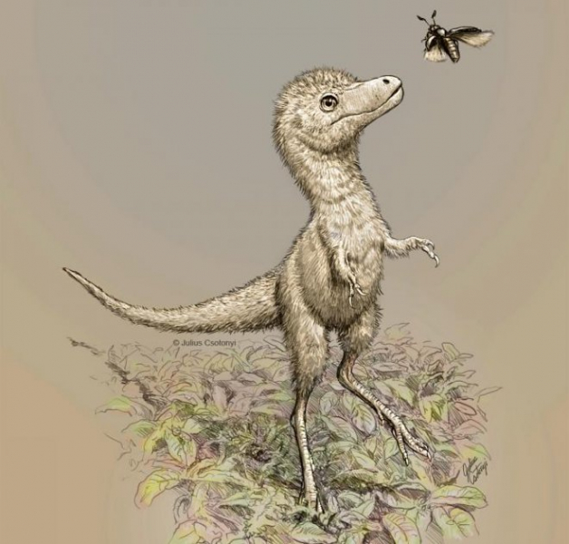 Новорожденные тираннозавры появлялись на свет размером с собаку 