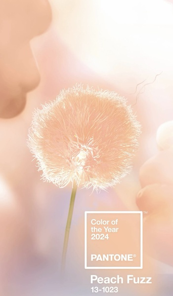 Pantone определил главный цвет 2024 года