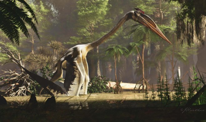 Самое крупное летающее существо в истории Земли летать совершенно не любило