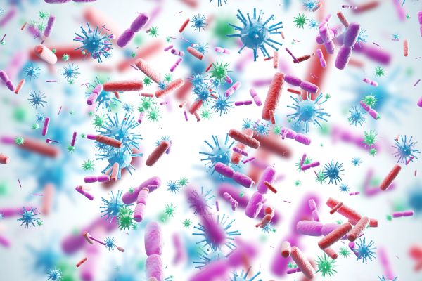 SСМР: 125 различных вирусов могут передаваться людям от мертвых животных