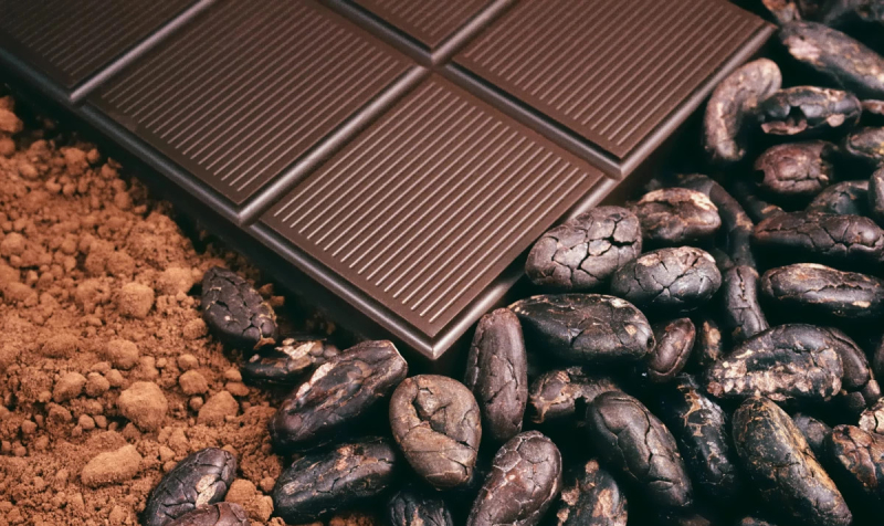 Ученые предложили комбинацию микробов для получения идеального шоколада