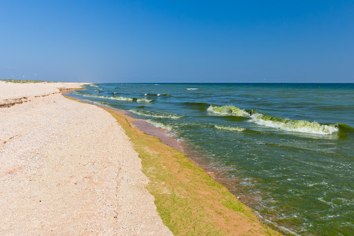 Ученые считают, что под Азовским морем в 100 раз больше воды, чем Крым тратит за год