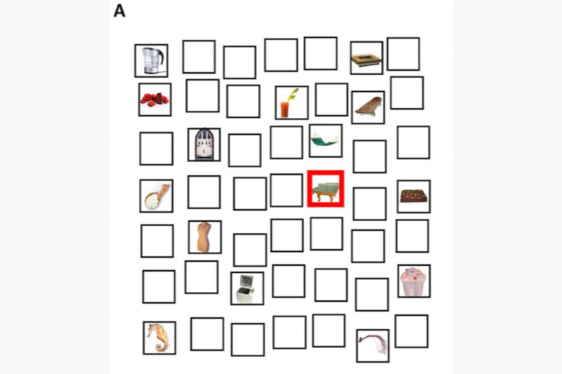 Ученые выяснили, что человек может запомнить расположение более 100 предметов