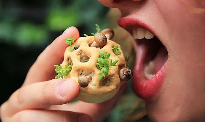 В Омске запущена биотехнологическая лаборатория, где создают еду будущего