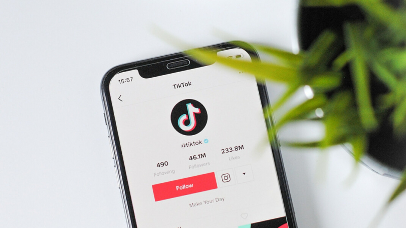 Власти предложили создать на «дальневосточном гектаре» в Якутии базу TikTok-блогеров