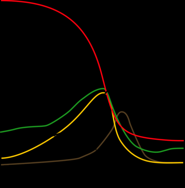 "World One" оказался прав в своем страшном предсказании конца цивилизации