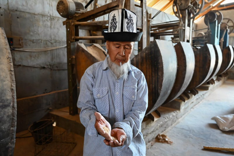 Житель небольшого киргизского села научился делать эко-кирпичи из рисовых отходов